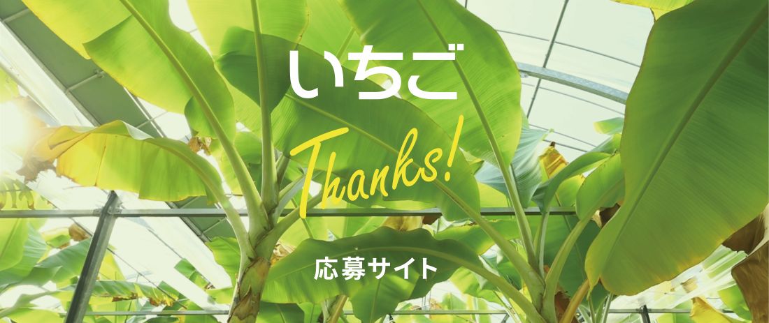 いちごＪリーグ株主・投資主優待